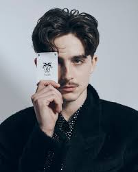 Timothee Chalamet, Cast