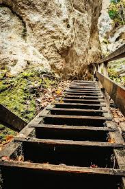 Steinwandklamm Das Besondere Ausflugsziel In Niederosterreich Ausflug Ausflugsziele Allgau Wandern