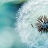 Download health wallpaper and make your device beautiful. 1
