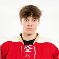 70+ "Loisel" profiles