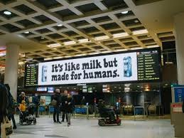 Oatly, weltgrößter hersteller von hafermilchprodukten, . Oatly Not Every Brand Needs To Be The Same Modern Buyer Behaviour