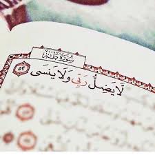 أفوض أمري إلى الله إن الله بصير بالعباد ربي كن معي فإني لا أقوى إلا بك يارب وظني فيك ياربي جميل ياحي Islamic Quotes Quran Quran Verses Quran Quotes