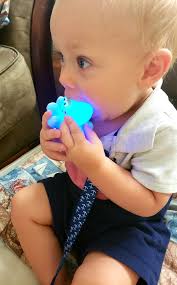 Like a human baby, sea otter pups will teethe. We offer our pups, like  Tazlina, various toys to chew