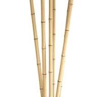 Artificial Bamboo Poles, Synthetic Bamboo Sticks | ONETHATCH