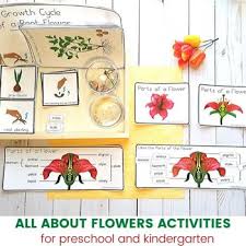 Free transportation activities for preschoolers featuring cars, trucks, trains, boats and other vehicles. Flower Theme Activities For Preschool And Kindergarten Tpt