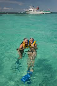 Curry hammock state park—marathon, florida. Snorkeling Tours Pennekamp Coral Reef State Park