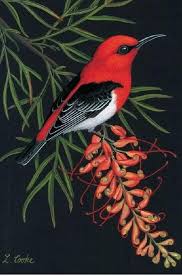 The right appliances make small kitchens more comfortable. Pin By Oya Demirer On Aves Beautiful Birds Birds Painting Nature Birds