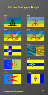 Il ne reste plus que 9 exemplaire (s) en stock (d'autres exemplaires sont en cours d'acheminement). Kabylie Le Mak Et Le Gpk Appellent A L Election Du Drapeau Kabyle