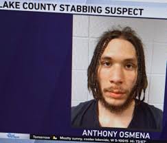 Imagine the races were flipped?