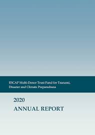 A tsunami is a series of enormous ocean waves caused by earthquakes, underwater landslides, volcanic eruptions, or asteroids. Https Reliefweb Int Sites Reliefweb Int Files Resources Escap 20multi Donor 20trust 20fund 20for 20tsunami 20disaster 20and 20climate 20preparedness 2020 20annual 20report Pdf