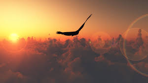 Download and use 30,000+ desktop wallpaper stock photos for free. Full Hd Desktop Wallpapers 1920x1080 Free Download