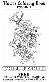 Collection of coloring pages for boys and coloring pages for girls of all ages. White Jasmine Free Flower Coloring Page For Kids And Adults Color Materials Suggestio Fairy Coloring Pages Coloring Pages For Grown Ups Flower Coloring Pages