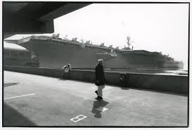 Image result for Gray 1995 Fleet