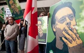 Marc Emery Gave LSD, Ecstasy To Underage Girls: Ex-Employees