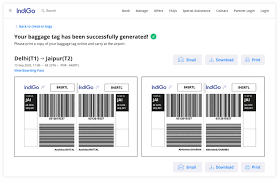 Check In Baggage Print Baggage Tags Boarding Pass Indigo
