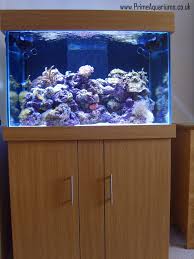 Prime Aquariums Aquarium Custom Fish Tanks Tropical Aquarium