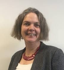 First findings focusing