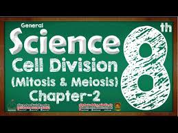 🎉 ••• tag them to make sure they apply by oct. Meiosis Worksheet Jobs Ecityworks