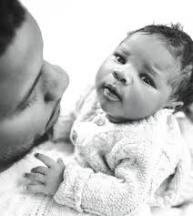 Shiba Inus of Orlando