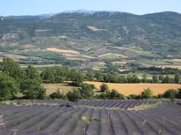 Maroc/au maroc dans les souks.avi 98.91mb. Juin 2012 Tchouktv