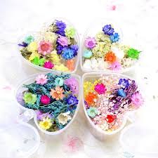 Cheap gift bags & wrapping supplies, buy quality home & garden directly from china suppliers:romantic angel heart transparent acrylic box packaging flowers bouquent. 1 Box Mixed Dried Flowers Nail Art Diy Preserved Flower With Heart Shaped Box Glass Dry Flower Buy At A Low Prices On Joom E Commerce Platform