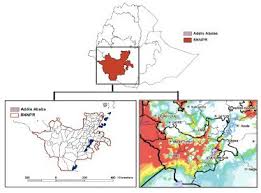 This is our official page. A Stitch In Time A Cross Sectional Survey Looking At Long Lasting Insecticide Treated Bed Net Ownership Utilization And Attrition In Snnpr Ethiopia Malaria Journal Full Text