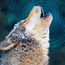 There is one more big problem in phonology. Here S Why Sound Carries Farther On Cold Days Latest Science News And Articles Discovery
