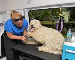 Here are some examples of average pet grooming prices: Aussie Pet Mobile The Leader In Mobile Pet Grooming