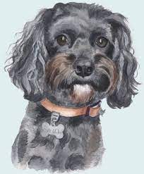 Make your favourite photo a hand made painting. Pet Portraits Dog Portraits Cat Portraits Gift Vouchers Pet Portraits By Rosie Coyne
