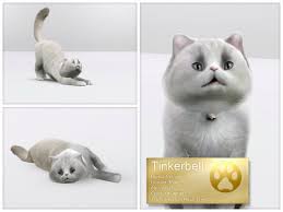 On july 31, 2018, the sims 4: Luckyfortune S Persian Cat Tinkerbell Sims 4 Pets Sims 3 Sims