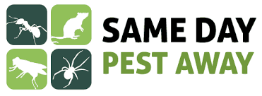 They frequently raid trash cans and steal pet food. Pest Control Los Angeles Ca Exterminator Los Angeles Same Day Pest Away