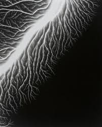 Hiroshi Sugimoto At Biennale Of Sydney 2010 Hiroshi Sugimoto Lightning Photography Fractals In Nature