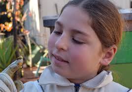 A 10-year-old boy fought a California city to keep his bees