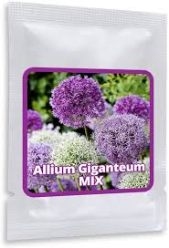 Check spelling or type a new query. Giant Onion Mix Magic Of Nature