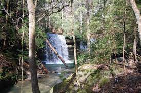 25 alabama field trip ideas. 10 Best Campsites In Alabama