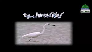 Soalan tasawwur islam k1 set 1. Kia Bagla Khana Halal Hai