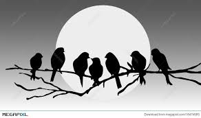 Bird Sitting On Branch Birds Sitting On A Branch Bird Silhouette Bird On Branch Bird Stencil