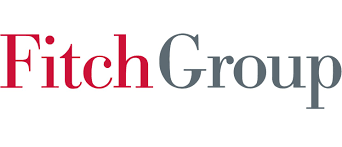 Logo Fitch Group