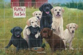 Maybe you would like to learn more about one of these? The Golden Labrador Retriever