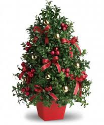 Pin On Christmas