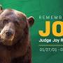 Profile Picture of Baylor University Mourns Passing of Baylor Bear Mascot Judge “Joy ... (@baylor.edu) on Google