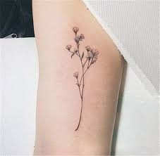 Google Image Result For Https Ae01 Alicdn Com Kf Htb1rhbpil5tbunjsspcq6zngfxap 2018 Original Pro Waterproof Temporar Baby Breath Tattoo Tattoos Flower Tattoo