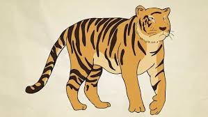 How do you draw a baby tiger? How To Draw A Tiger With Pictures Wikihow
