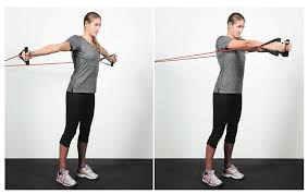 Pec Fly Resistance Band Online Www Mariamontes Net