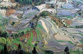Chanijské ryžové terasy v Chung-che