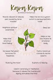 Pin On Herbal Education