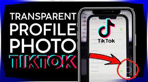 How To Create Transparent Profile Photo On Tiktok 2021 Youtube