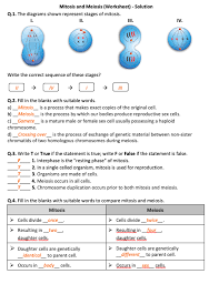 What is cytokinesis and when does it occur? Mitosis Vs Meiosis Worksheet Quizlet