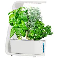 Trust me, aerogardens are amazing! Aerogarden Sprout Hydroponic Garden System White Best Buy Canada