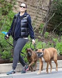 I'm just here for the punch. Pregnant Jessica Biel Reveals Rounded Stomach As She Takes Walk Jessica Biel Celebrity Baby News Pregnant Celebrities